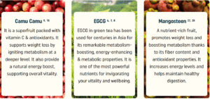 Nagano Fat Burning Tonic