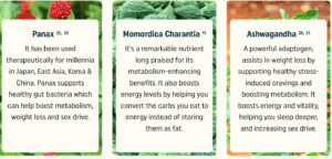 Nagano Tonic Ingredients