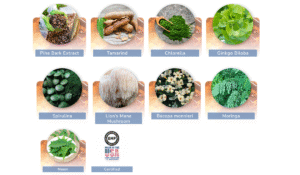 The Pineal Guardian Supplements: Ingredients, Benefits to Unlocking Your Brain's Hidden Potential 2 The pineal guardian ingredients