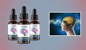 The Pineal Guardian Supplements: Ingredients, Benefits to Unlocking Your Brain's Hidden Potential 1 the pineal guardian supplements